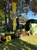 IMG-20250831-WA0068