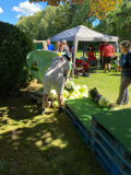 IMG-20250831-WA0081