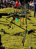 IMG-20250901-WA0008