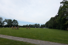 IMG-20240721-WA0083