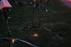 IMG-20240721-WA0015