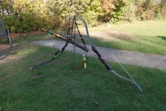 SAMSUNG CAMERA PICTURES