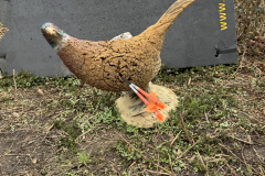 Vereinsmeisterschaft 3D 2026