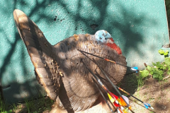 Vereinsmeisterschaft-3D-2022-3