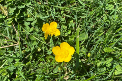 IMG-20250510-WA0061